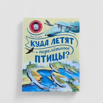 Куда летят перелётные птицы?