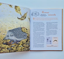 Загрузить изображение в средство просмотра галереи, Наши соседи по планете. Рассказы о диких животных