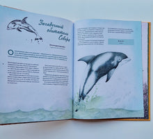 Загрузить изображение в средство просмотра галереи, Наши соседи по планете. Рассказы о диких животных