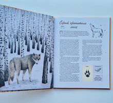 Загрузить изображение в средство просмотра галереи, Наши соседи по планете. Рассказы о диких животных