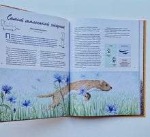 Загрузить изображение в средство просмотра галереи, Наши соседи по планете. Рассказы о диких животных