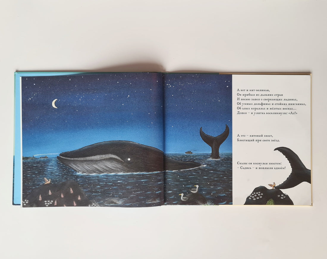 The Snail and the Whale