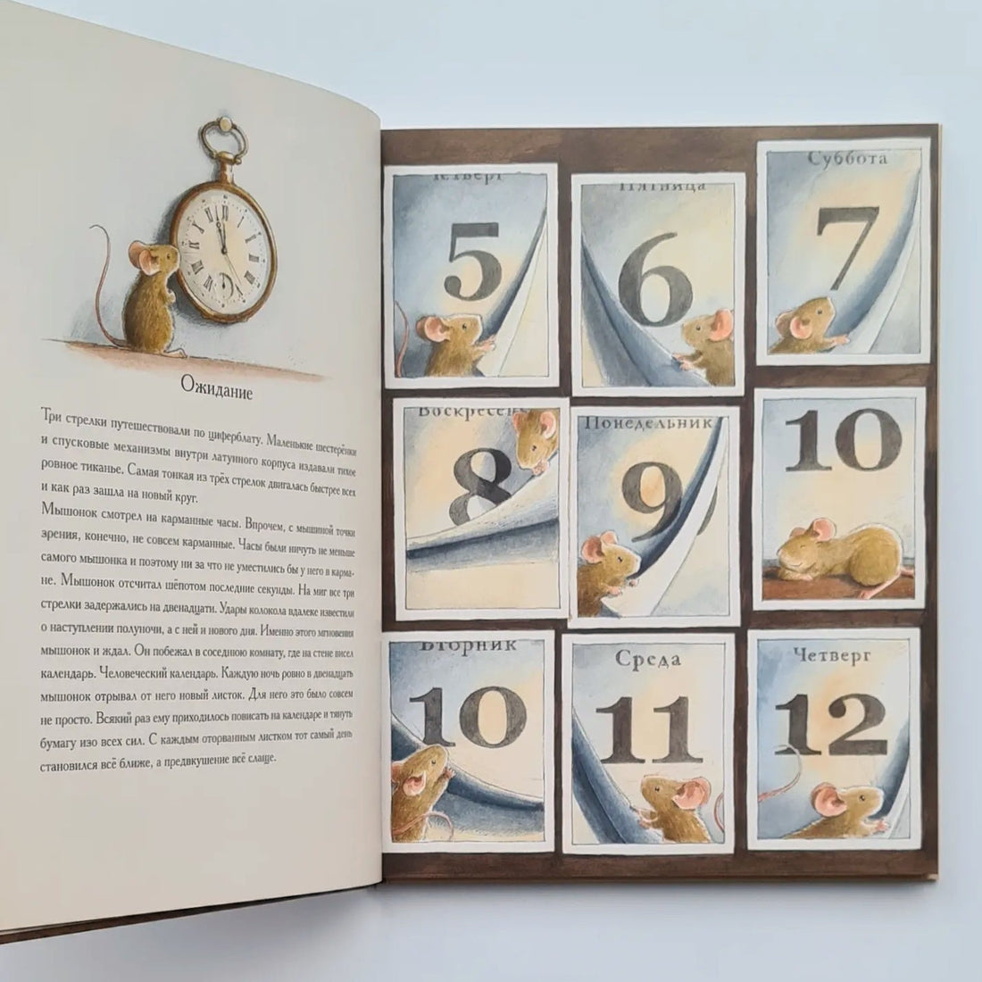 Einstein. A Mouse's Fantastic Journey Through Space and Time