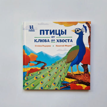 Птицы и букашки: от клюва до хвоста