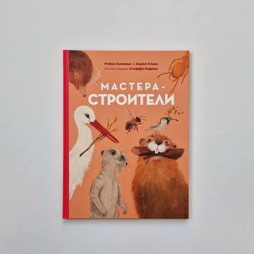 Мастера-строители