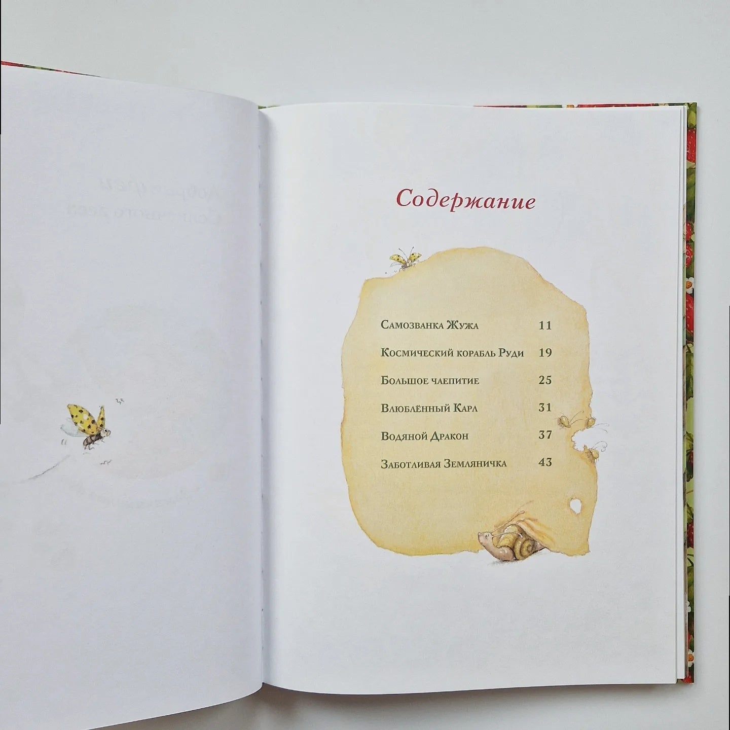 Strawberry Fairy. The Magic Book of Vacations