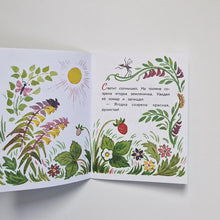 Загрузить изображение в средство просмотра галереи, Земляничка