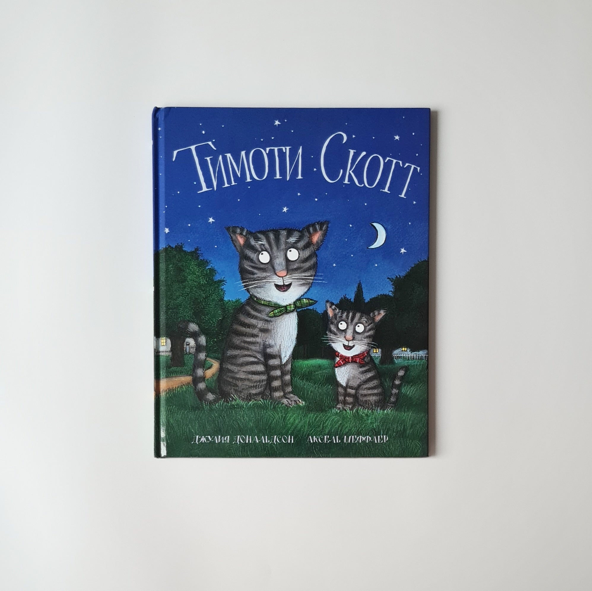 Тимоти Скотт
