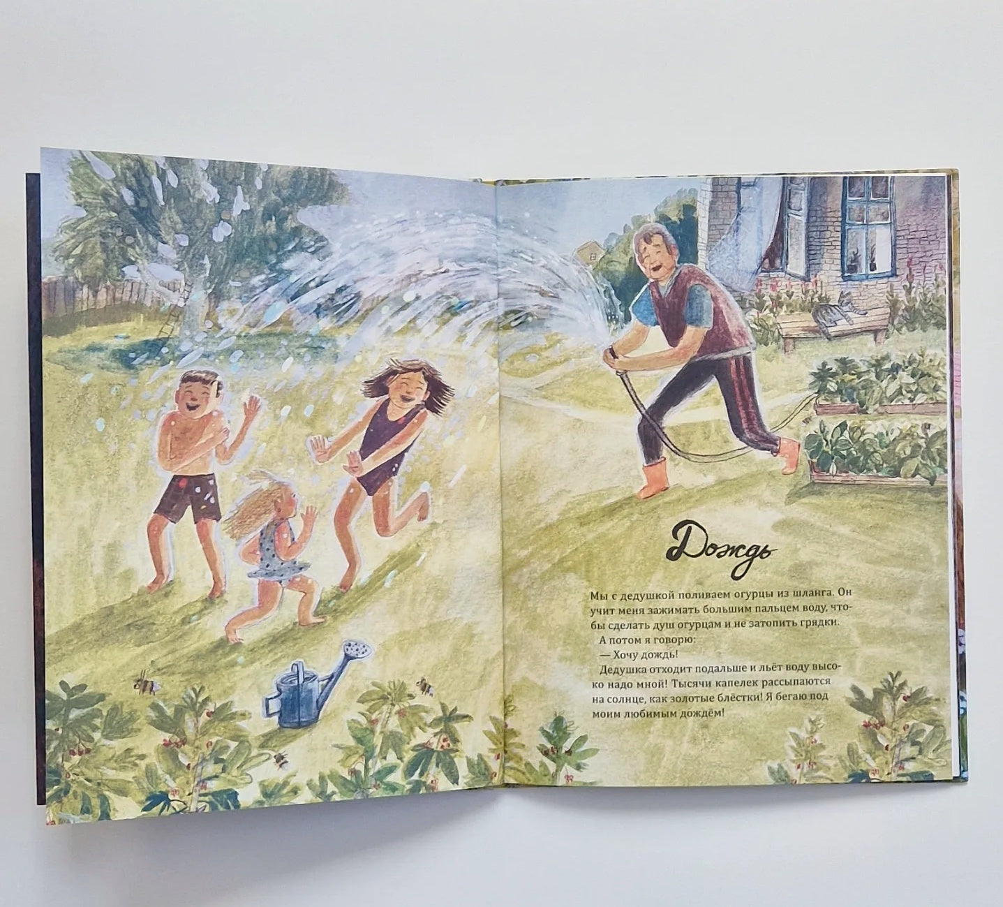 Дедушка лето