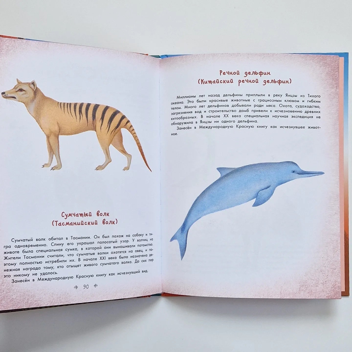 Стражи леса. Сказки для почемучки