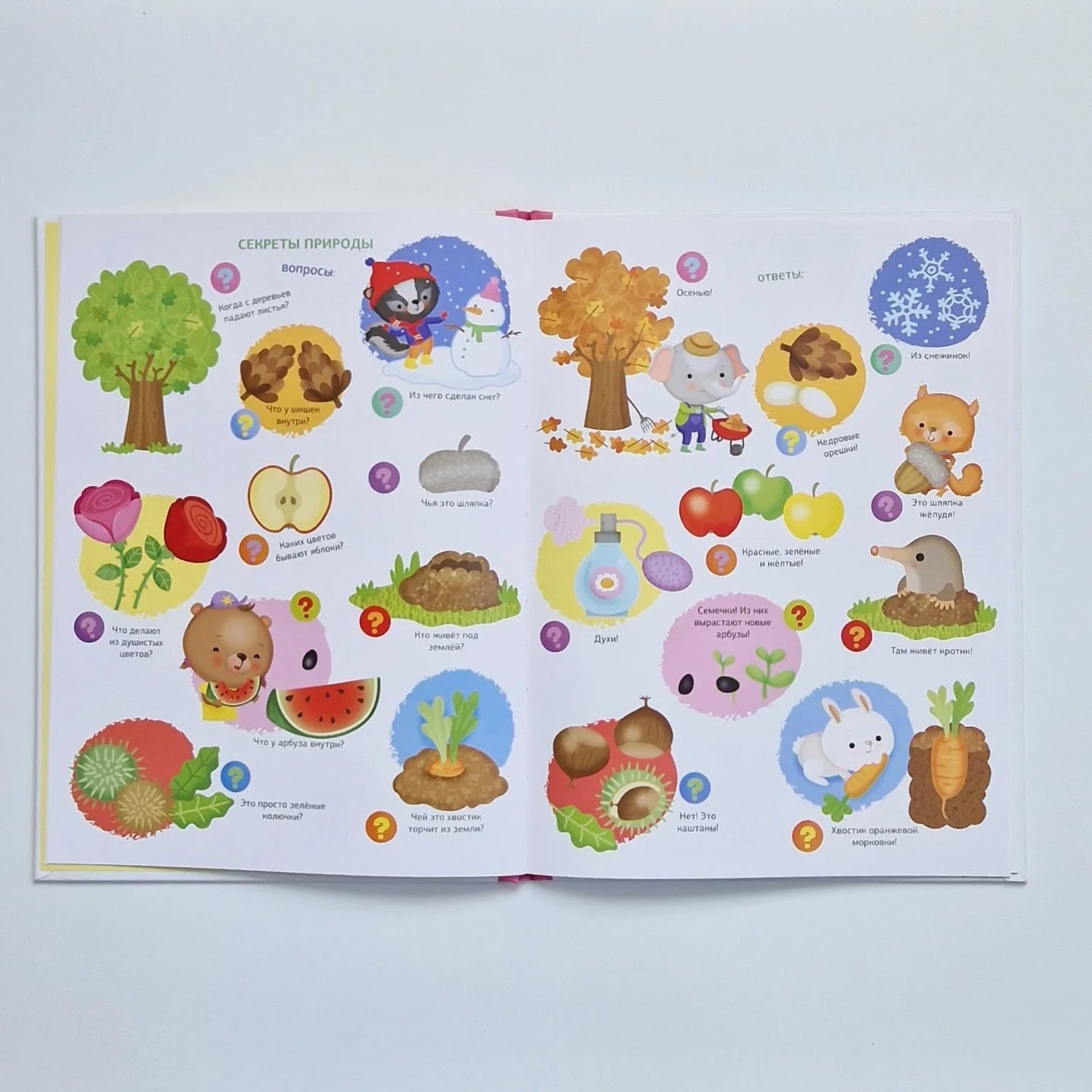 Большая книга малыша. 1000 первых вопросов в картинках