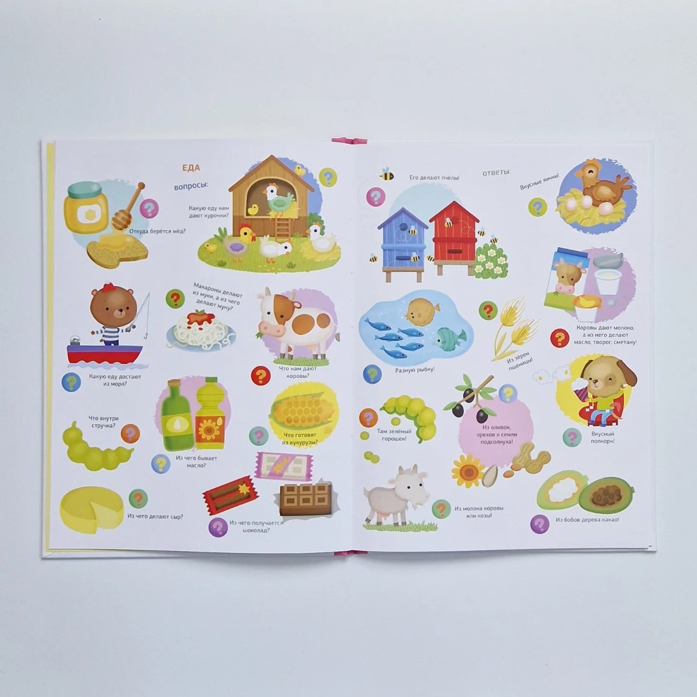 Большая книга малыша. 1000 первых вопросов в картинках