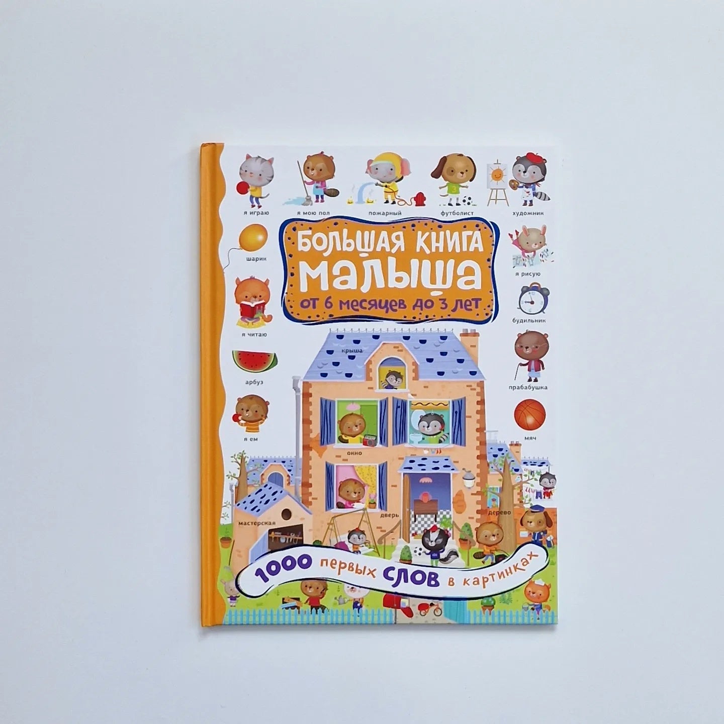 The Big Book of Baby. 1000 First Words in Pictures