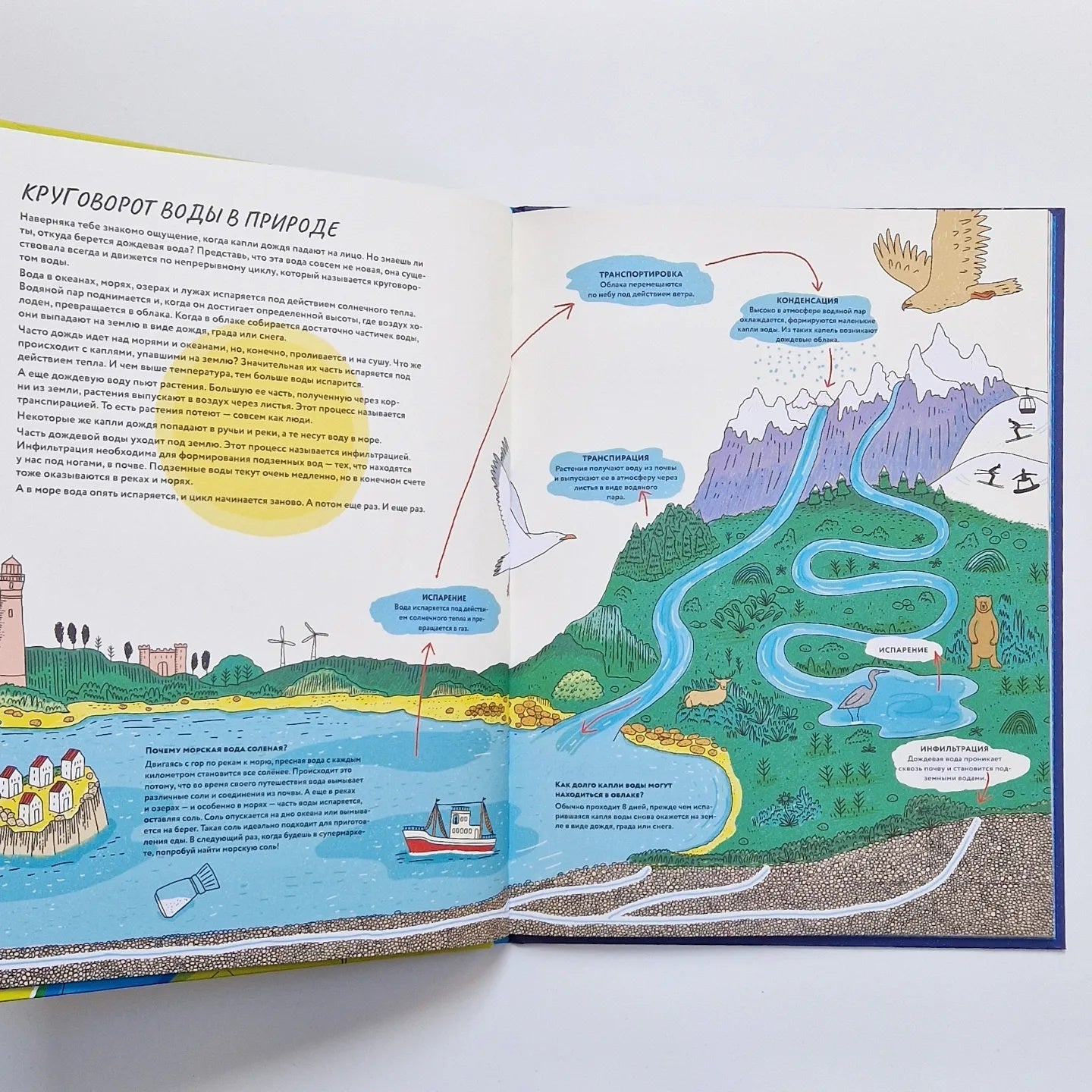 Большая книга воды: От капли росы до водопровода и разрушительных цунами