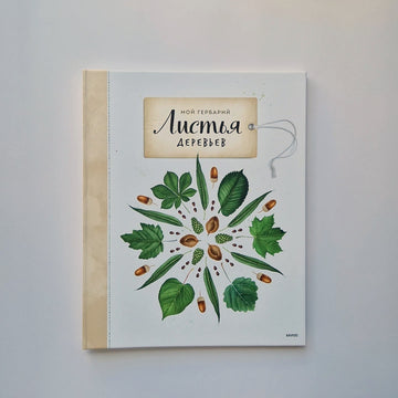 Листья деревьев. Мой гербарий
