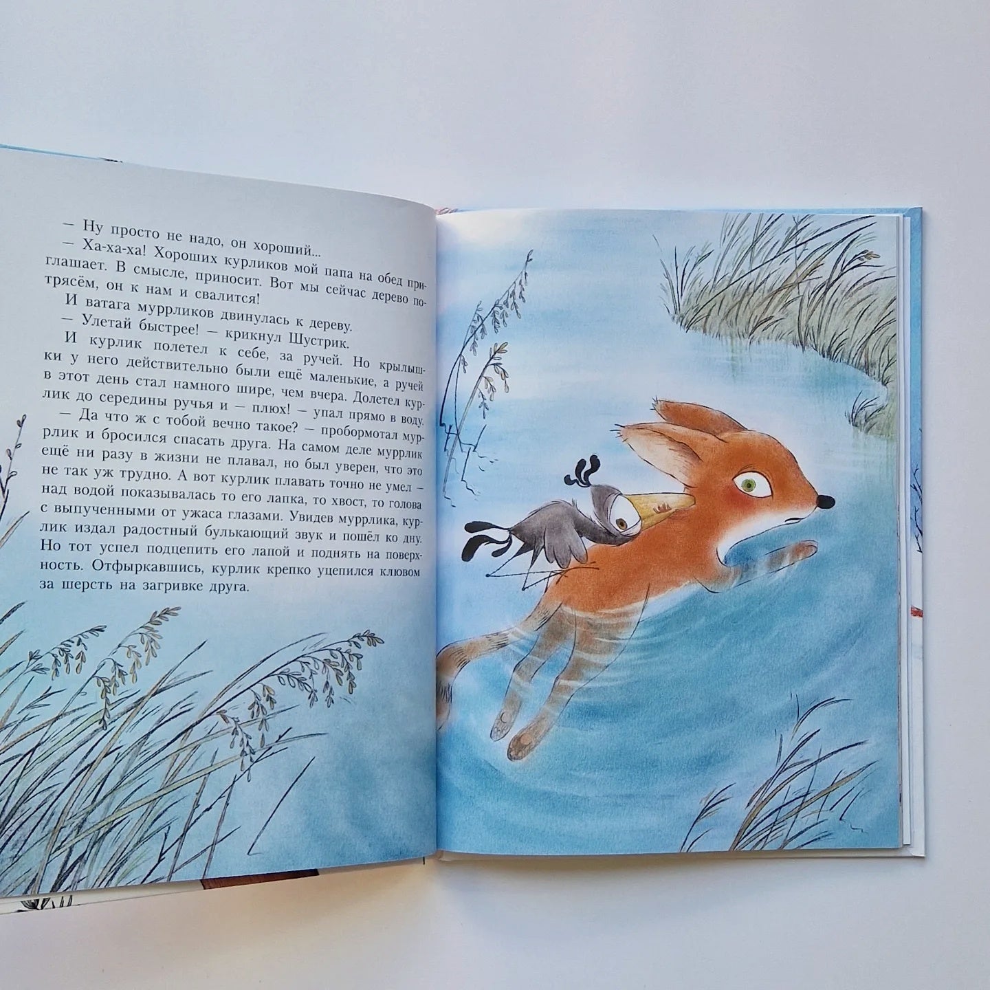 Держись, курлик!