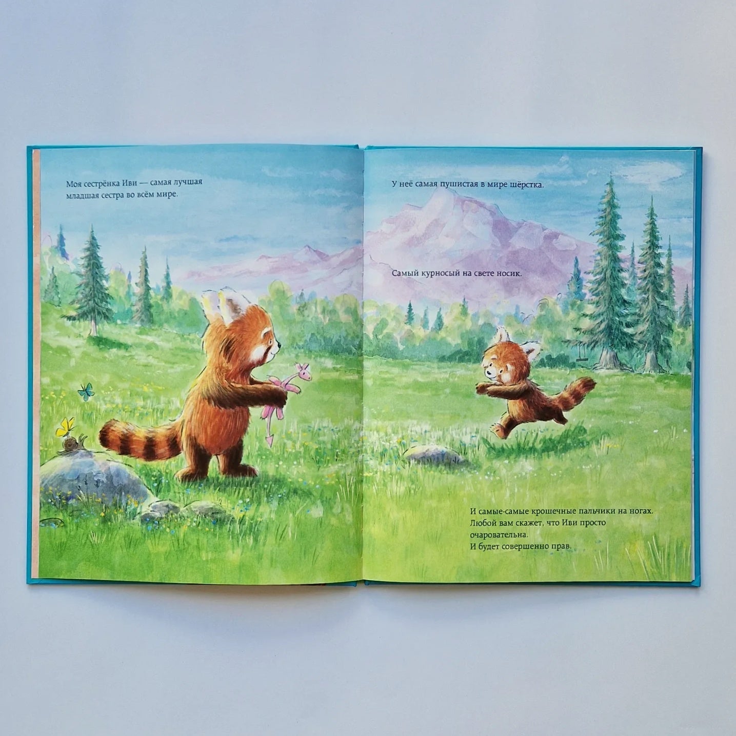 Скажи словами