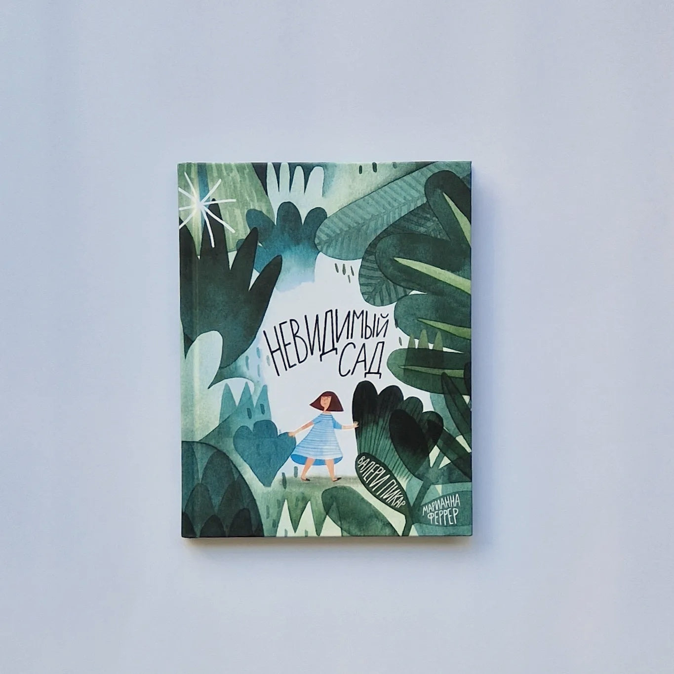 Невидимый сад