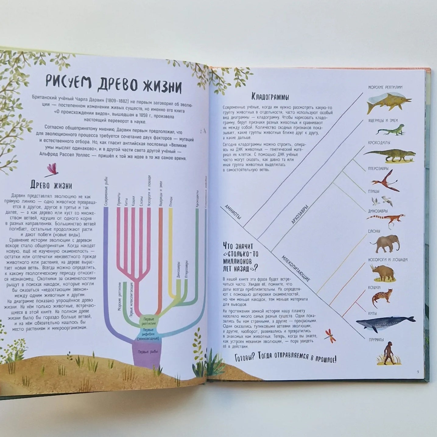 Когда киты умели ходить