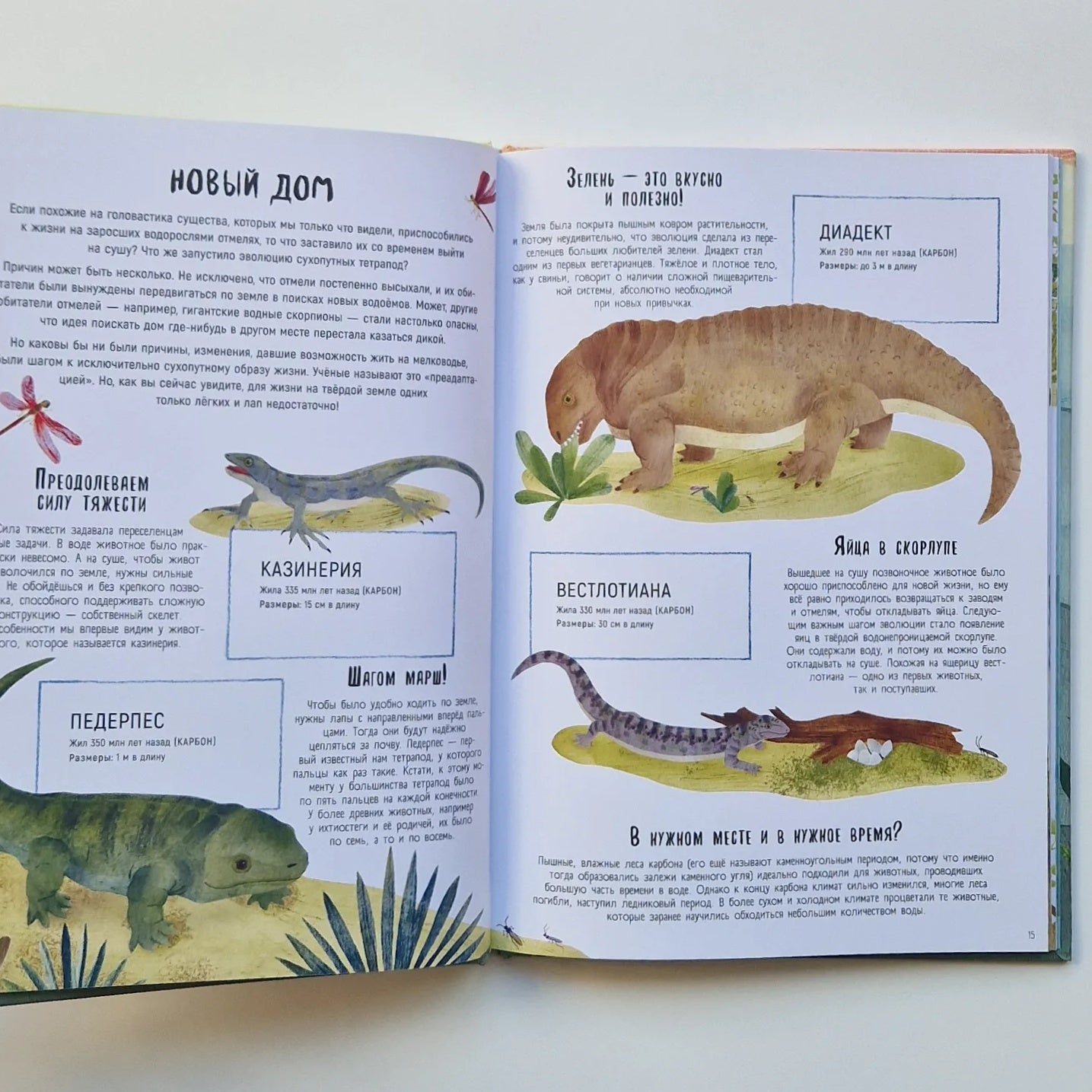 Когда киты умели ходить