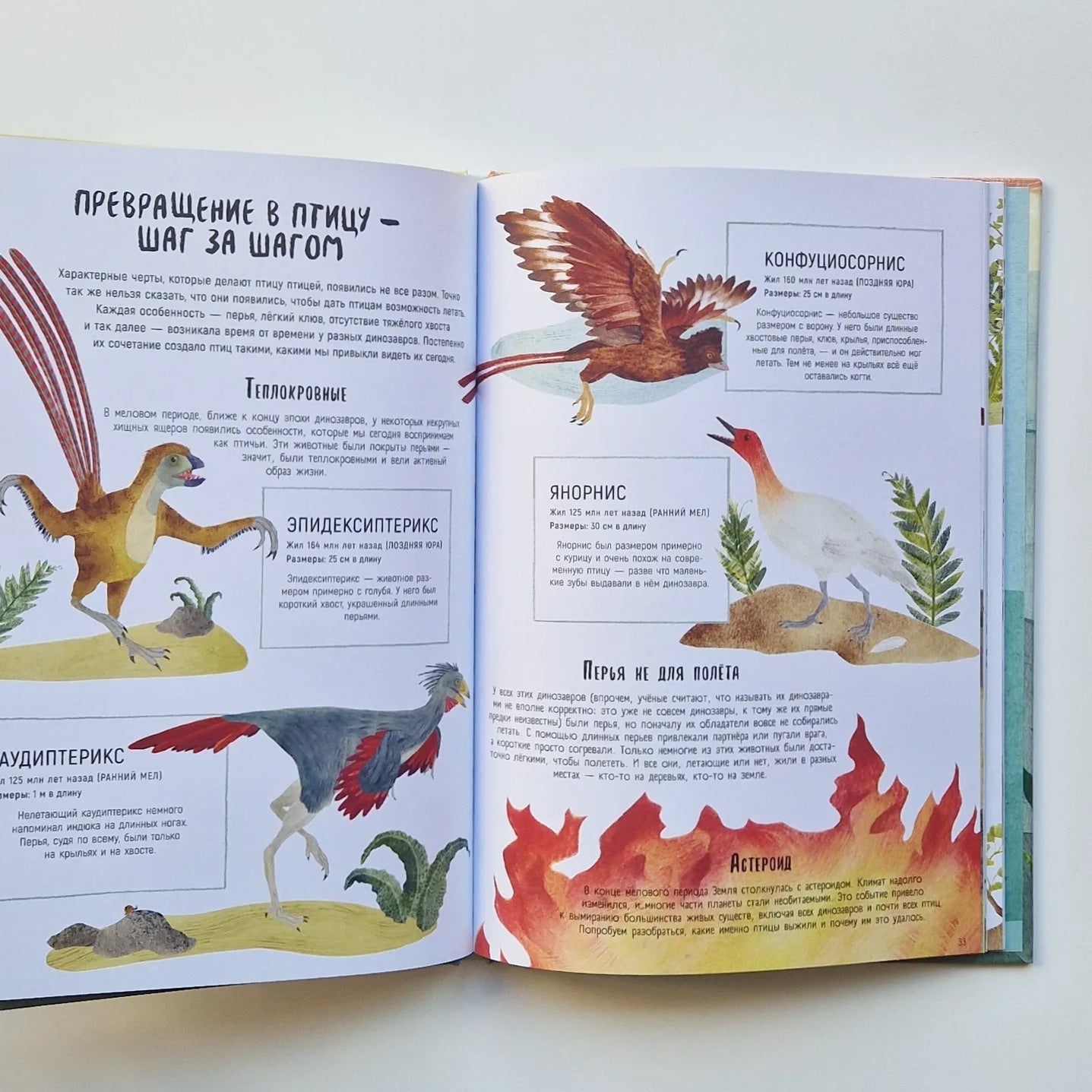 Когда киты умели ходить