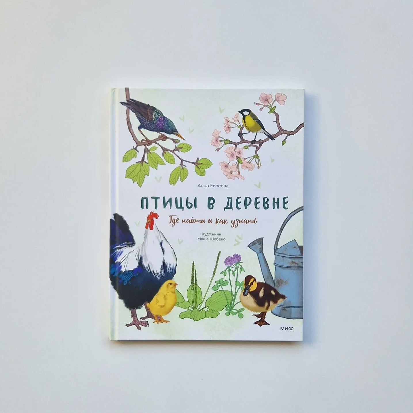 Птицы в деревне. Где найти и как узнать