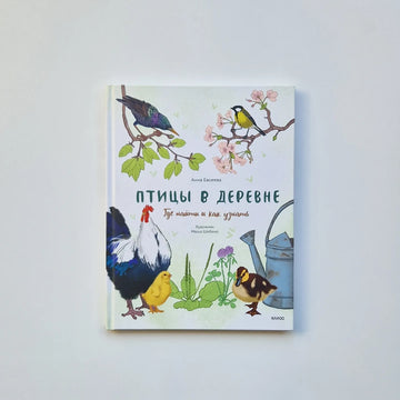 Птицы в деревне. Где найти и как узнать