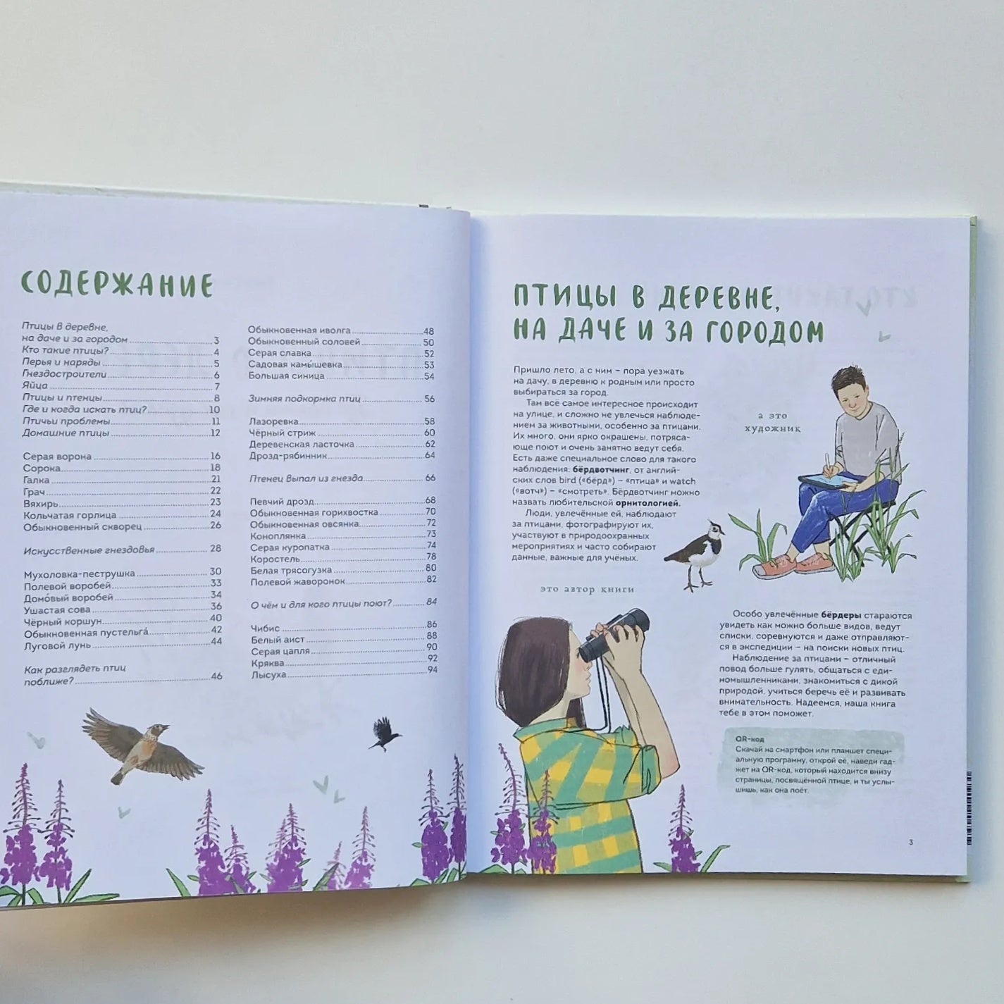 Птицы в деревне. Где найти и как узнать