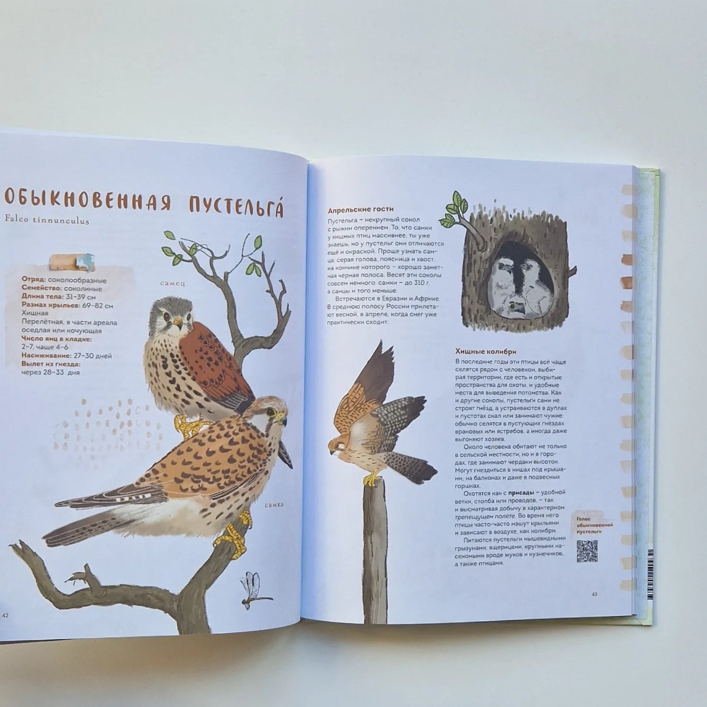 Птицы в деревне. Где найти и как узнать