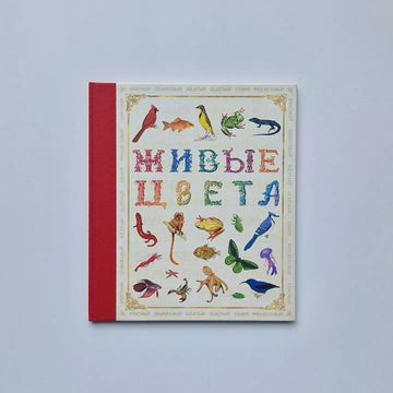 Живые цвета