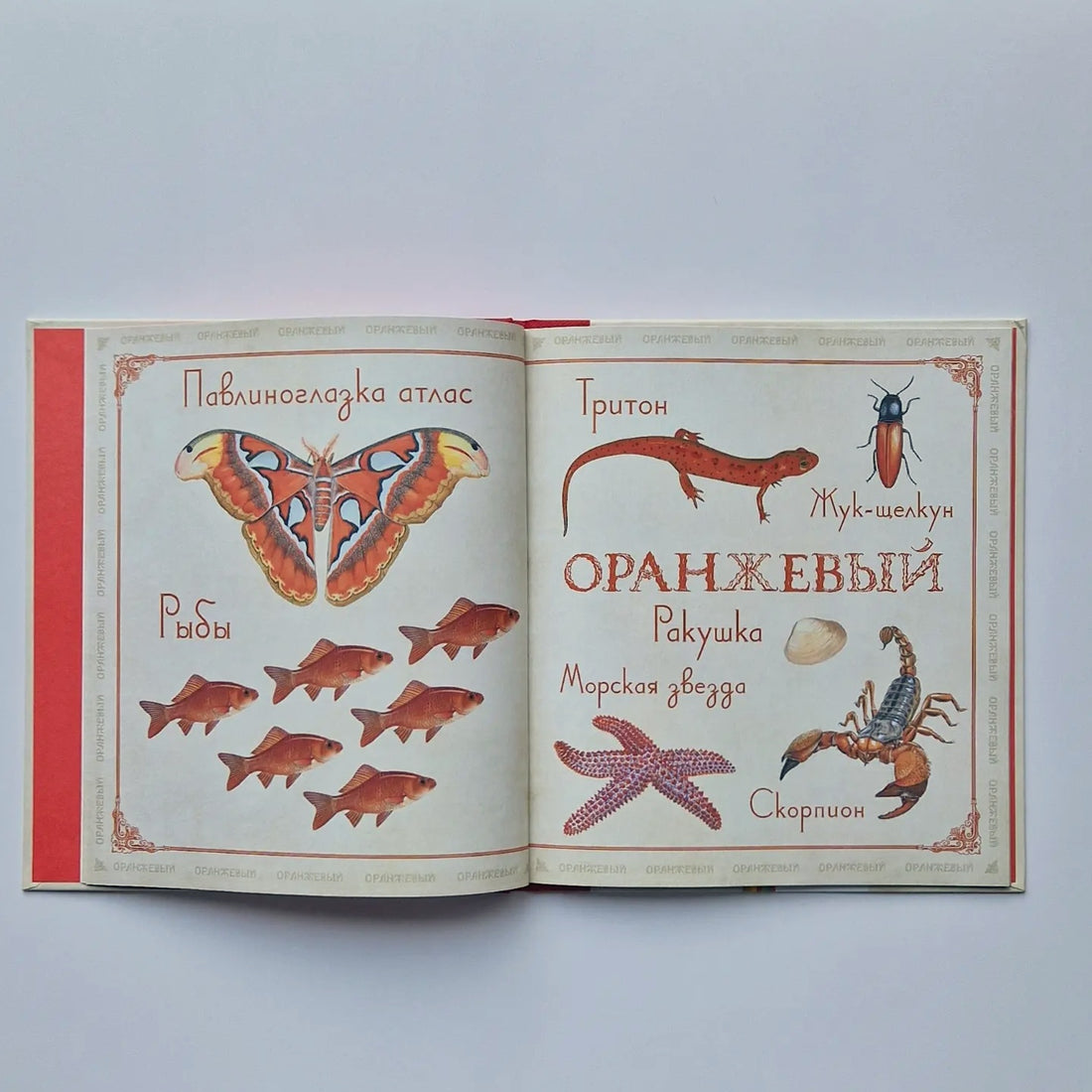 Живые цвета