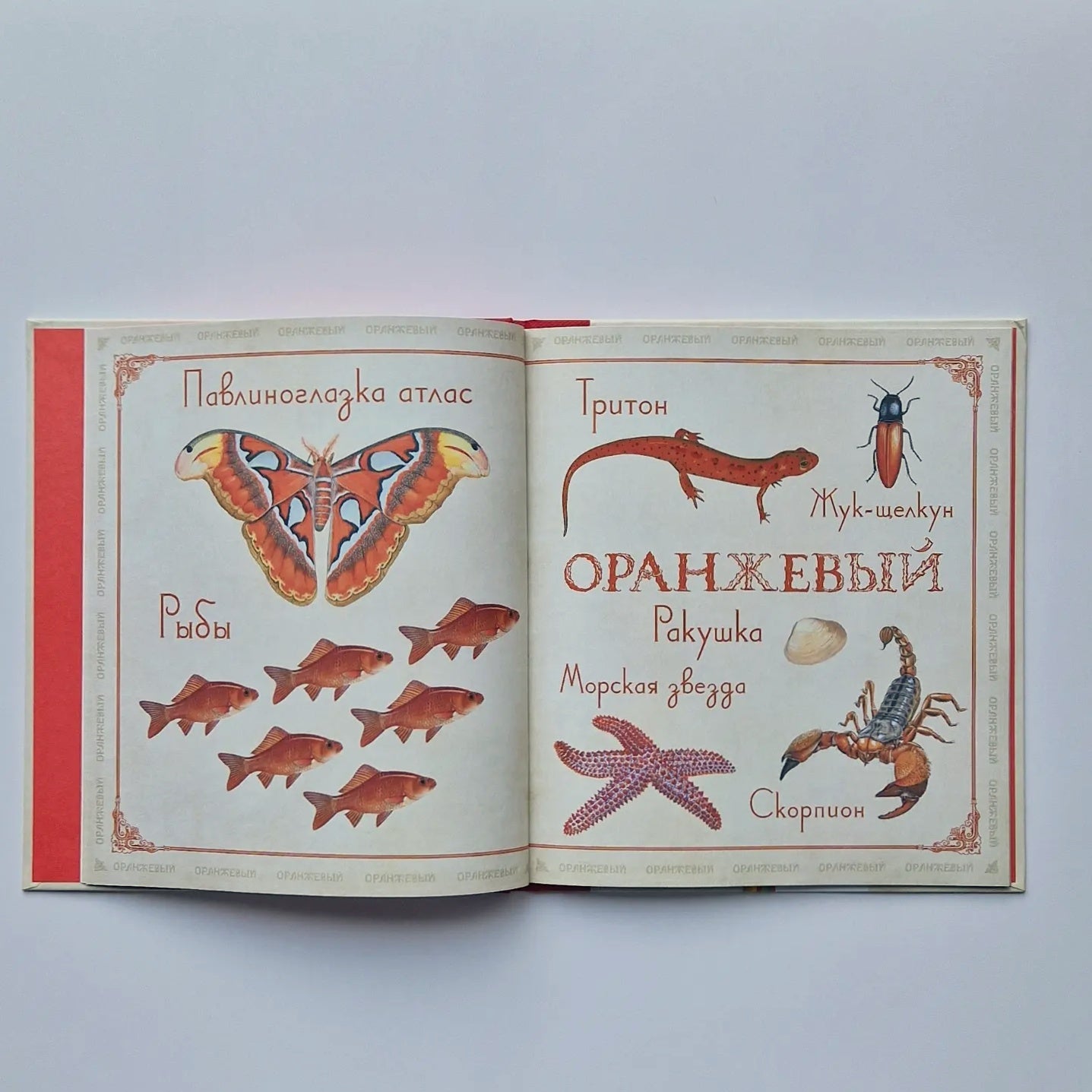 Живые цвета