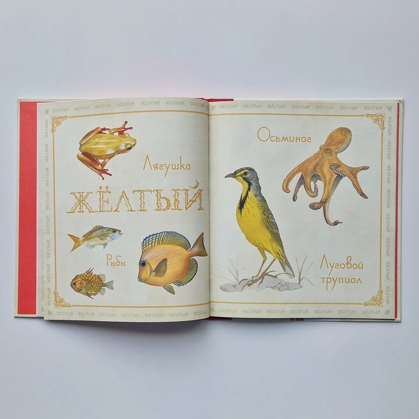 Живые цвета