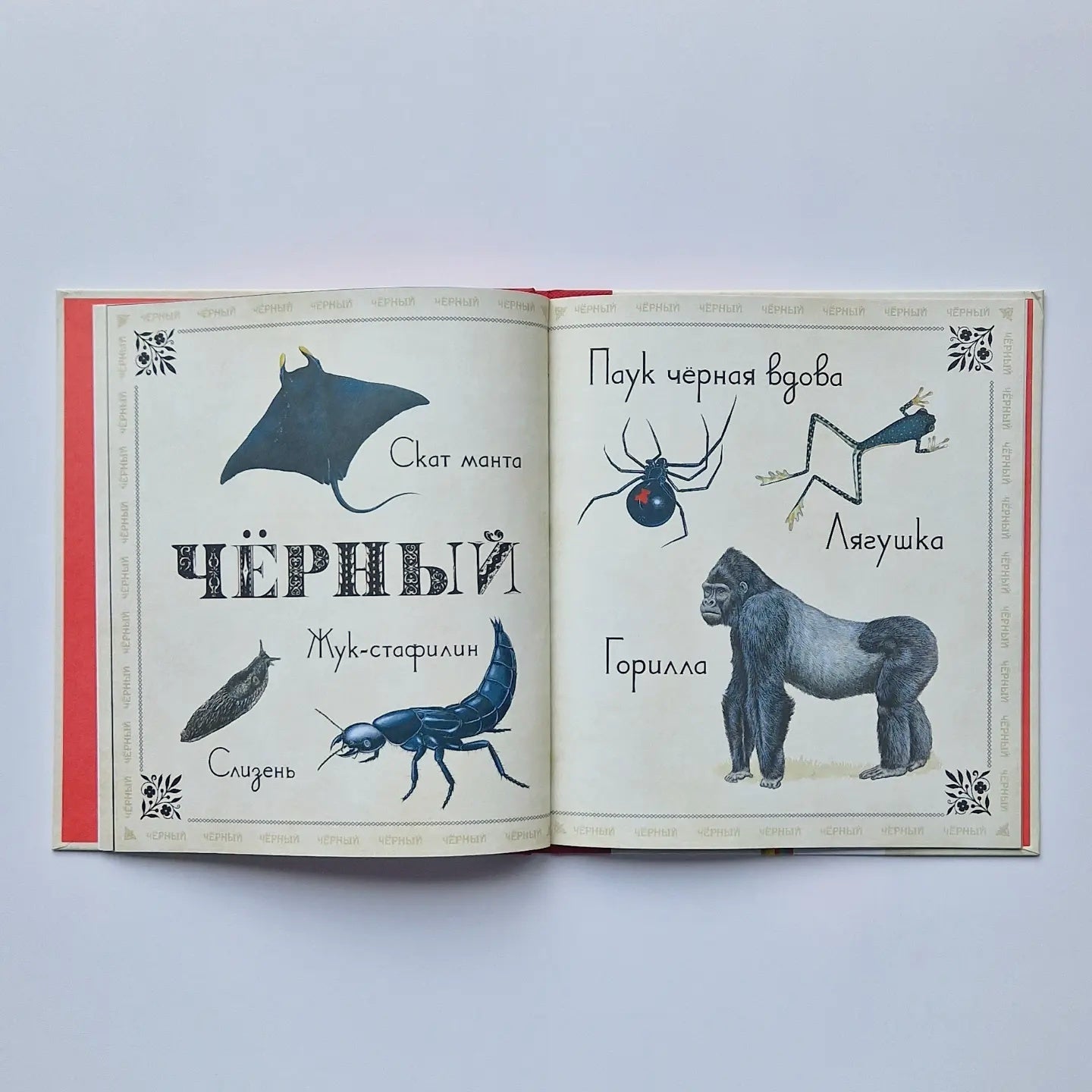 Живые цвета