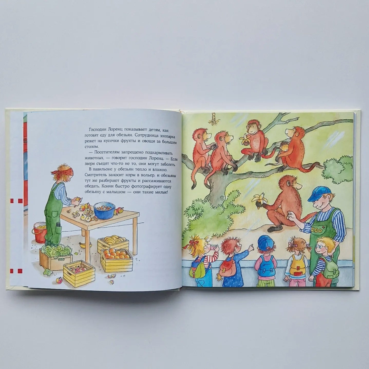 Большая книга приключений Конни. Животные