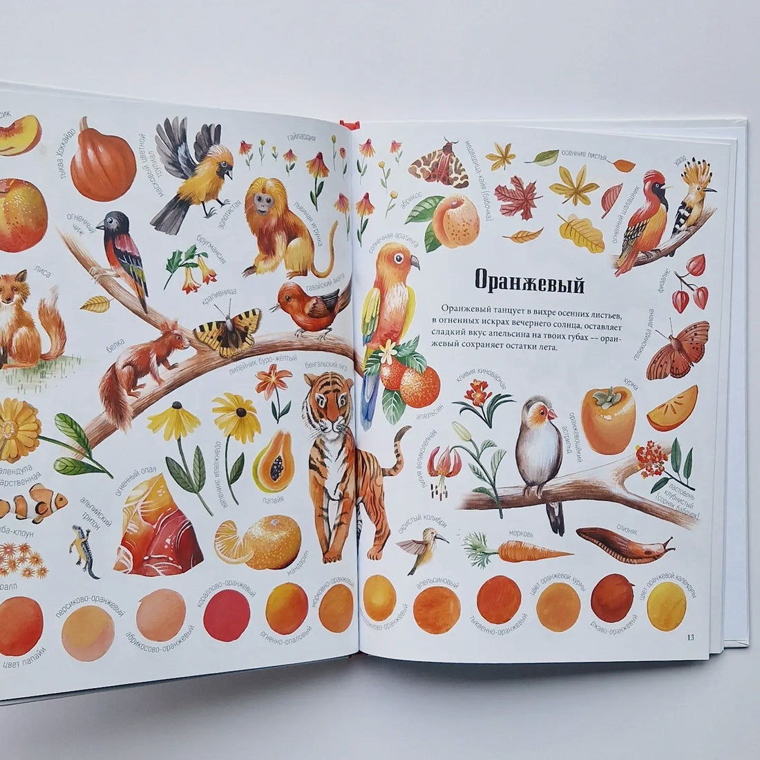 Двенадцать красок природы