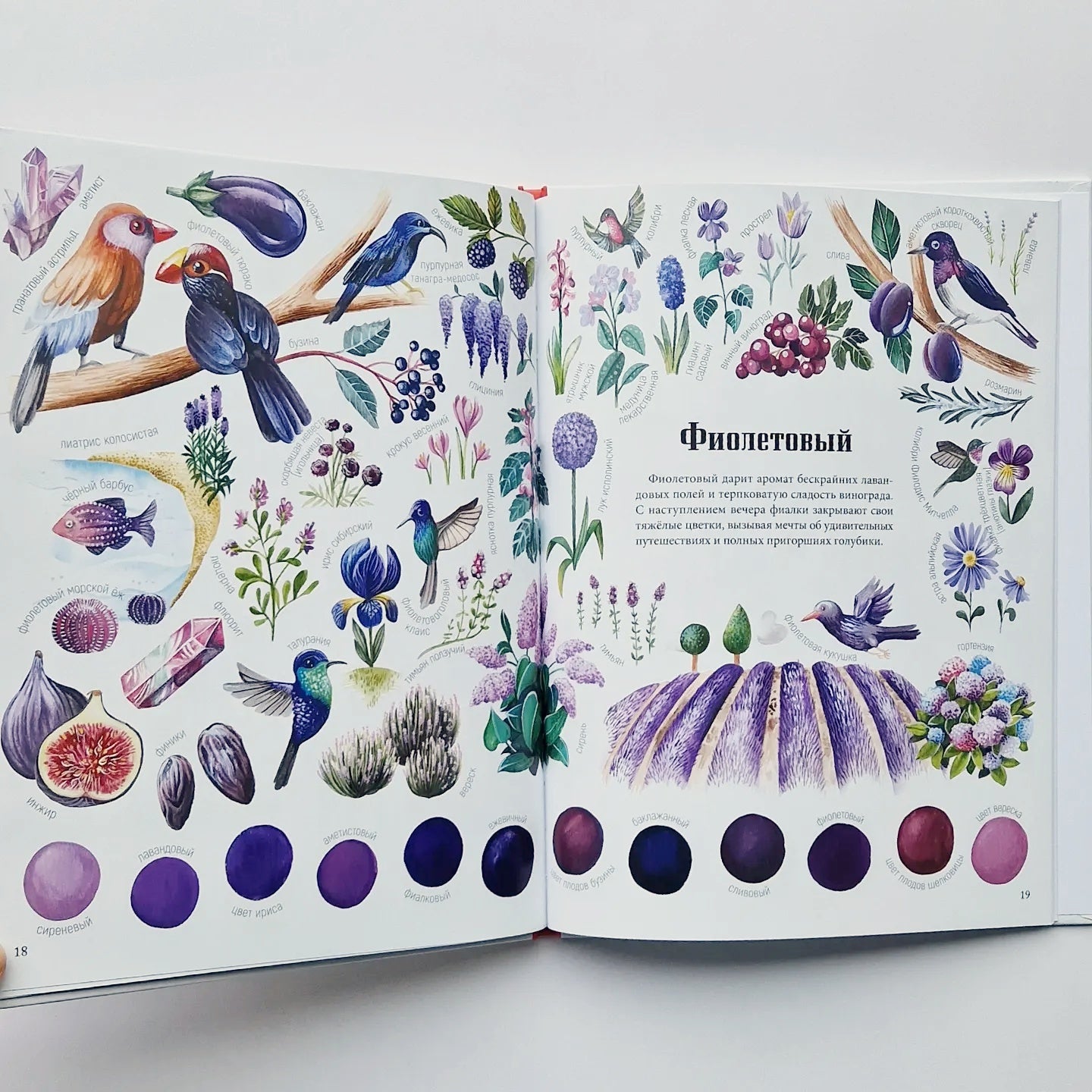 Двенадцать красок природы