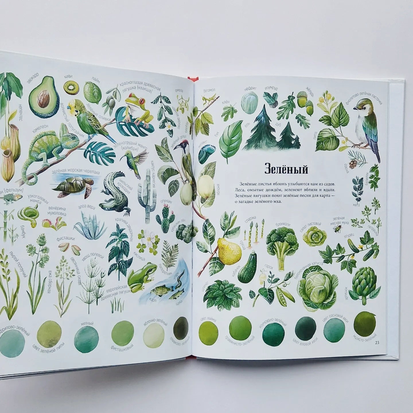 Двенадцать красок природы