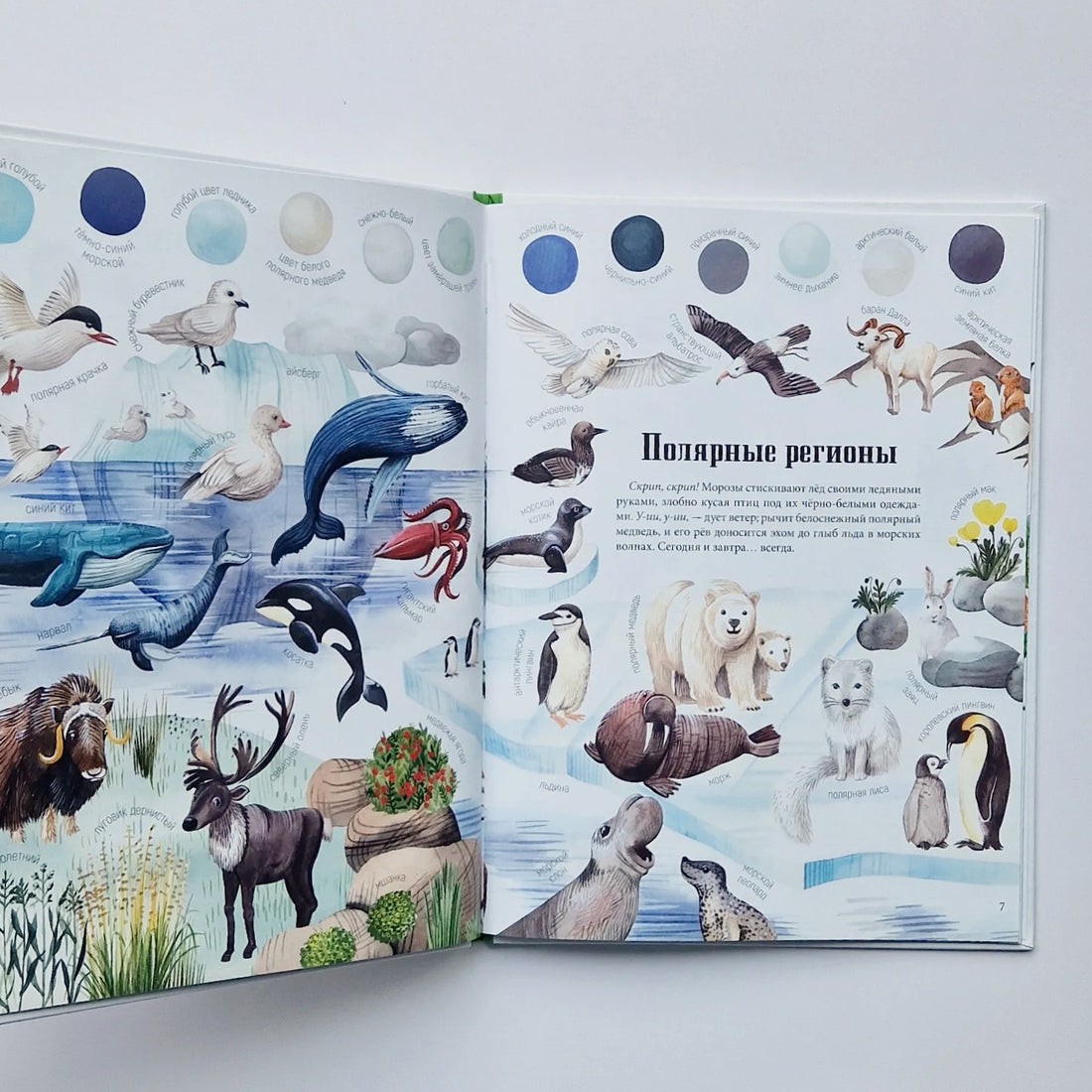 Цвета окружающего мира