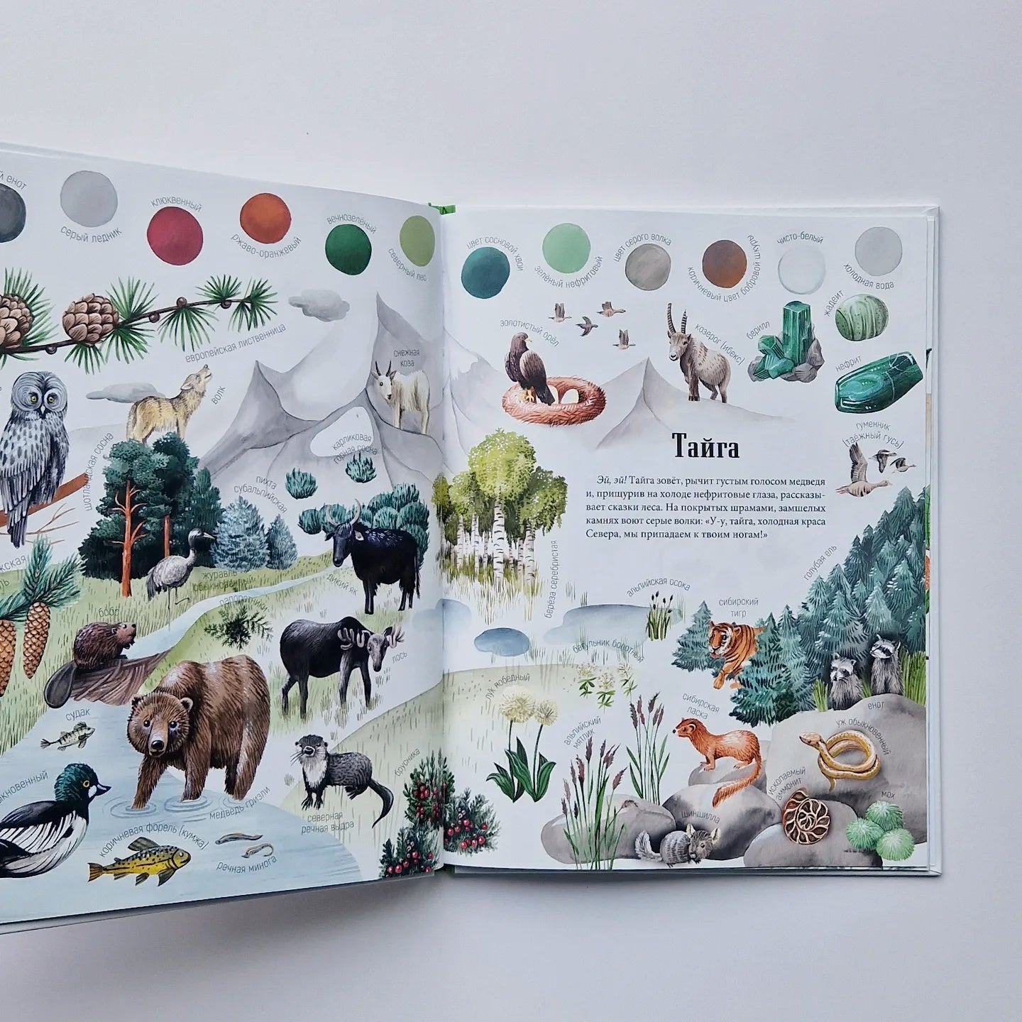 Цвета окружающего мира