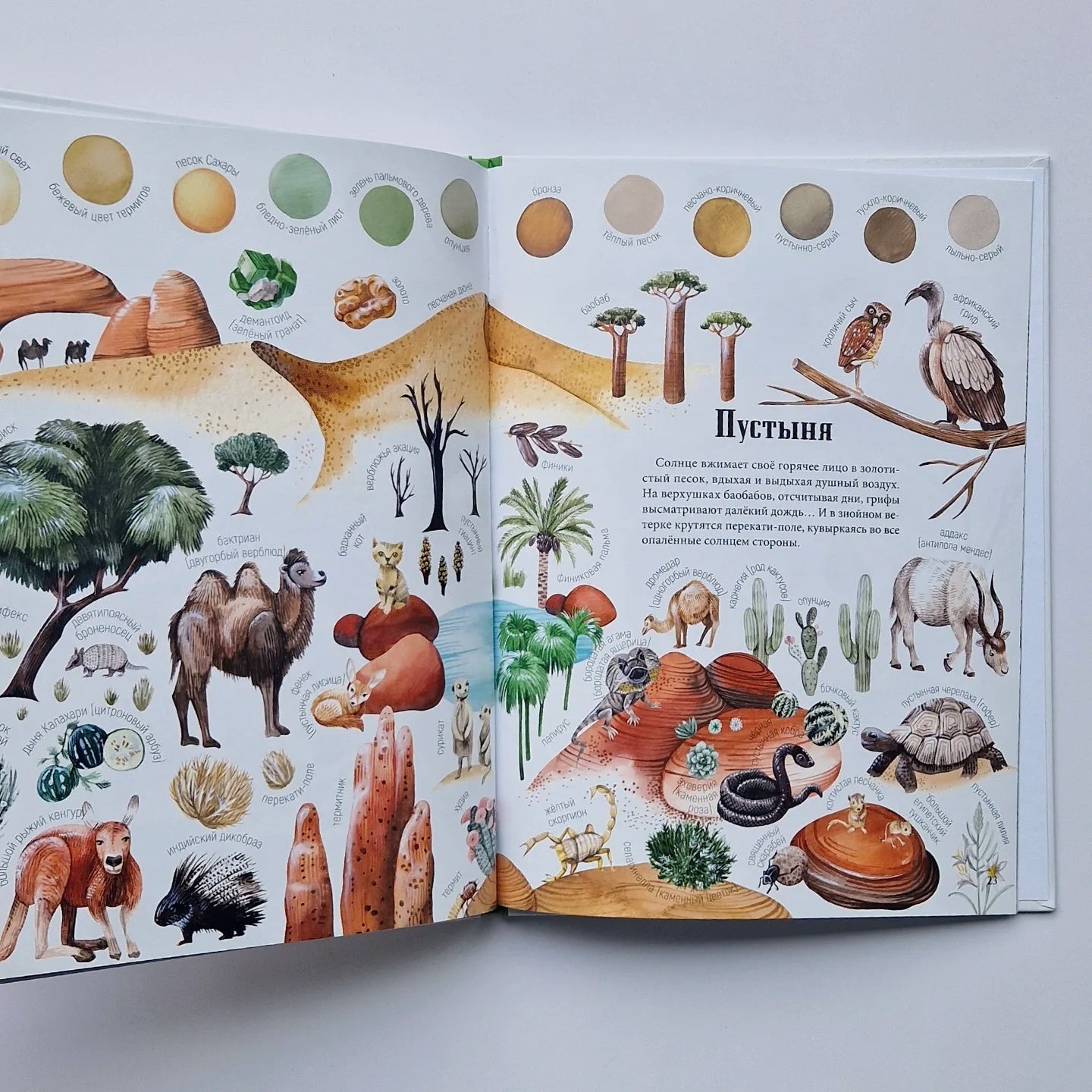 Цвета окружающего мира