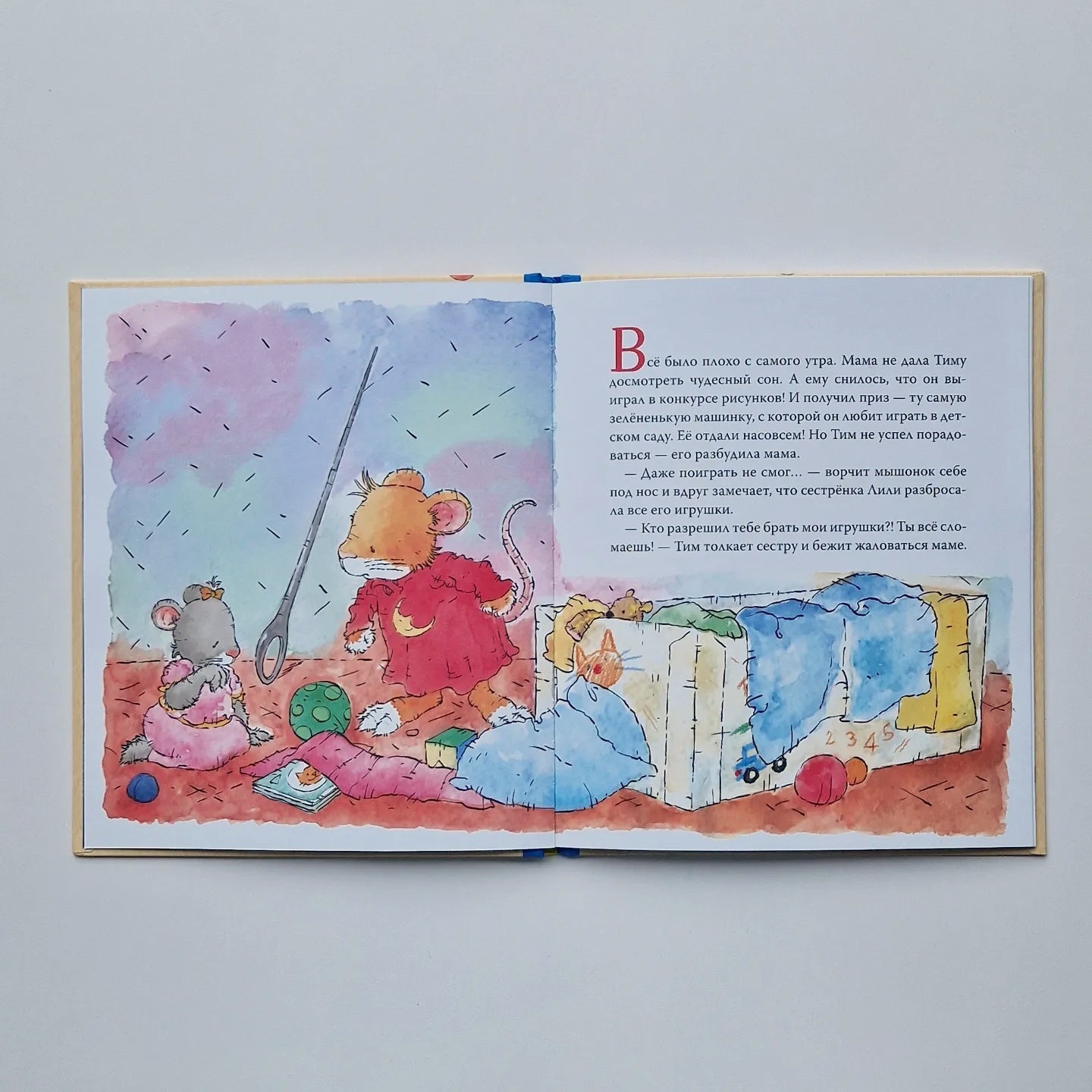 Tim the mouse is angry