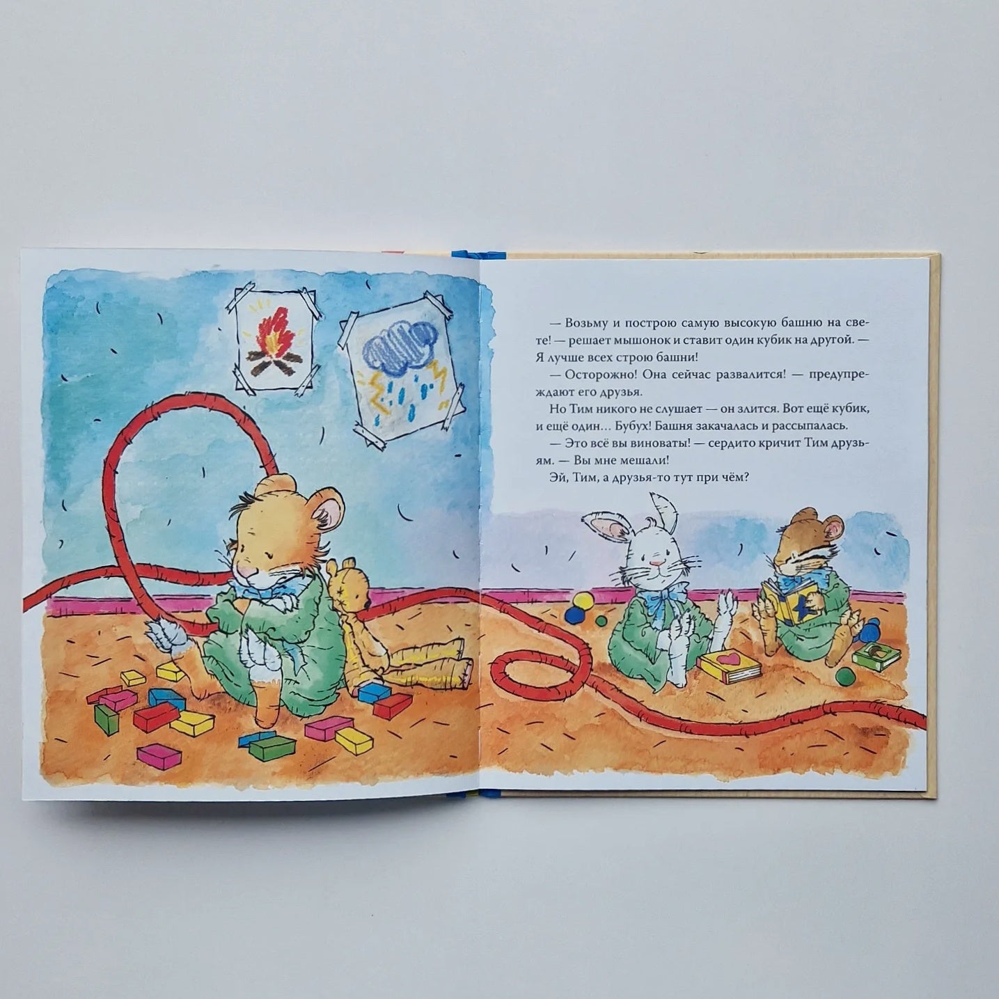 Tim the mouse is angry