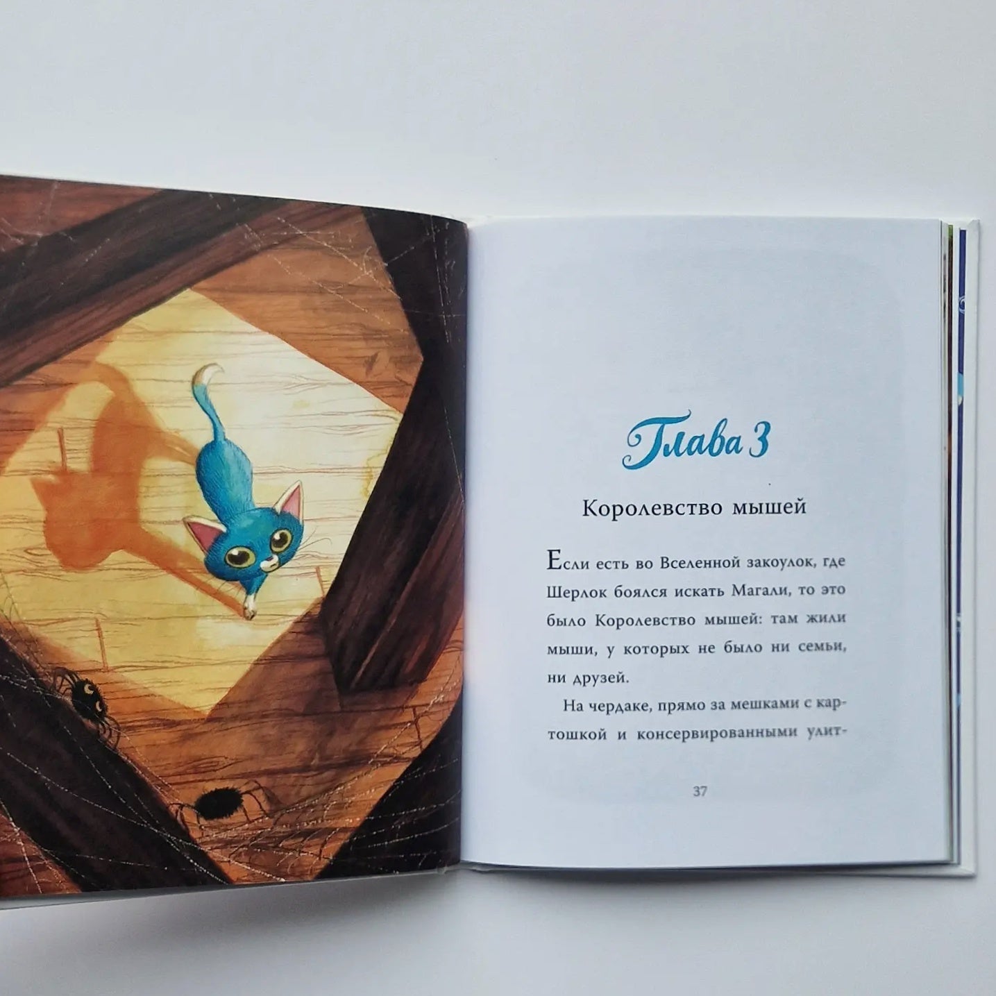 Шерлок Кот. Тайна пропавших мышей