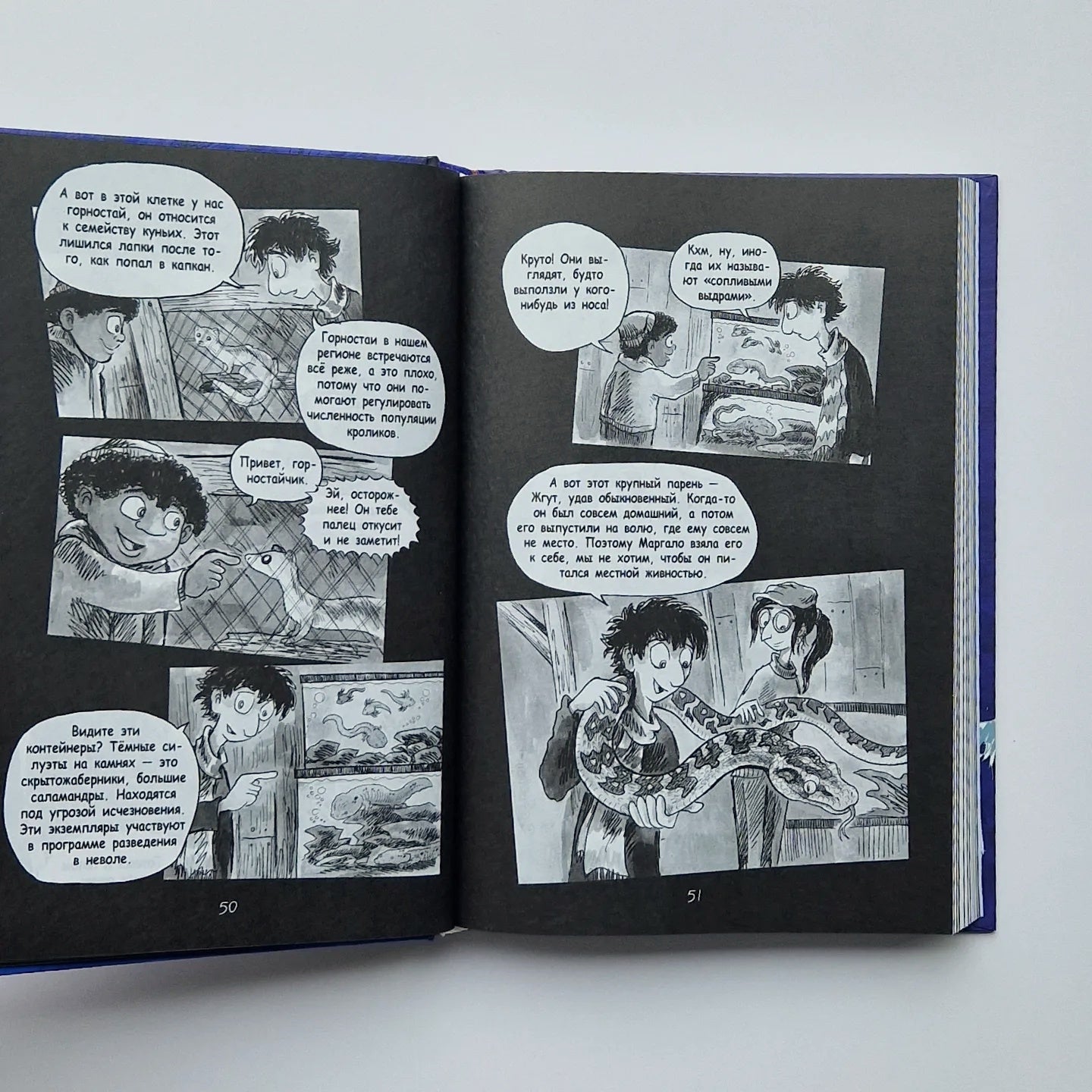 No Country for Monsters: Haunted School