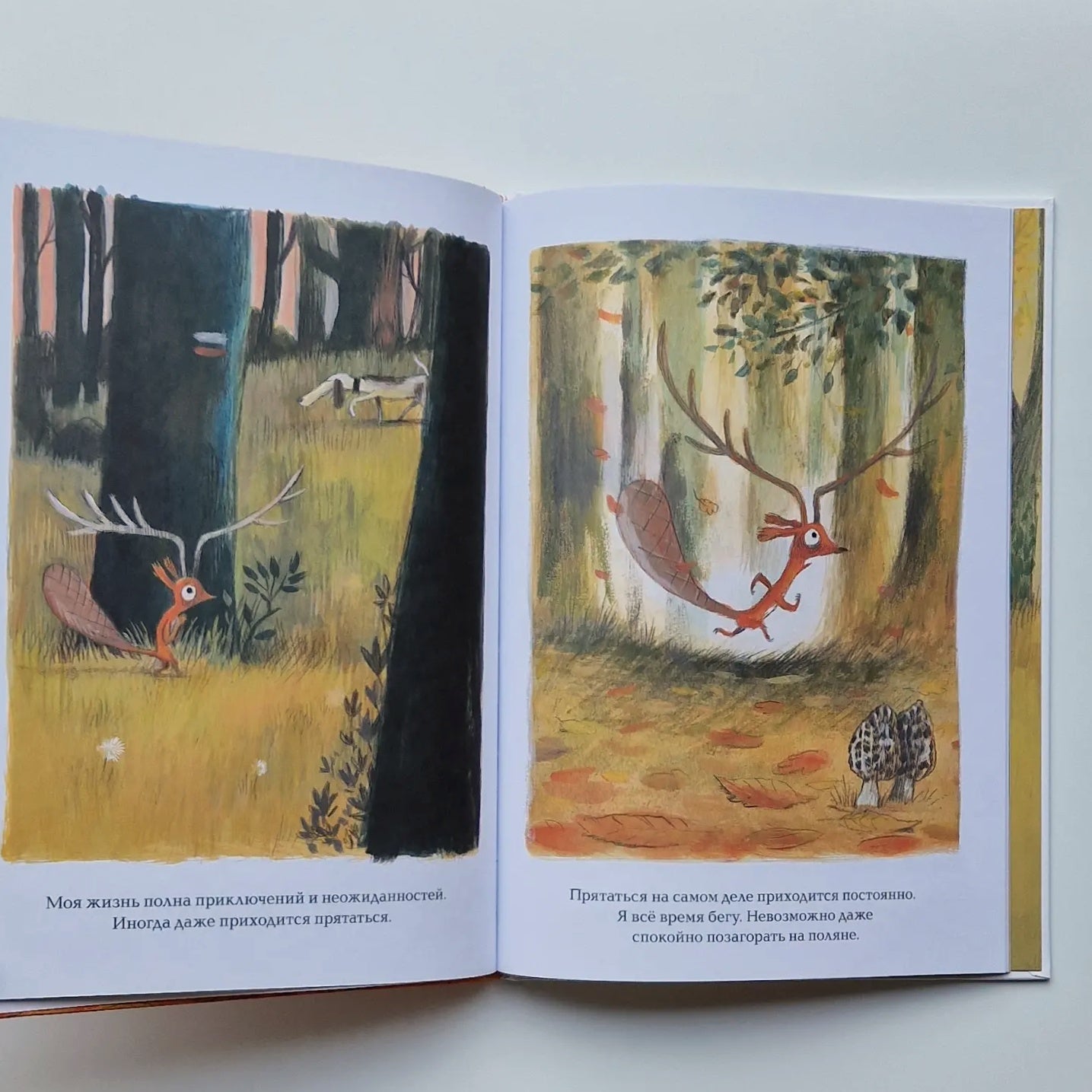 I don't want to be a squirrel