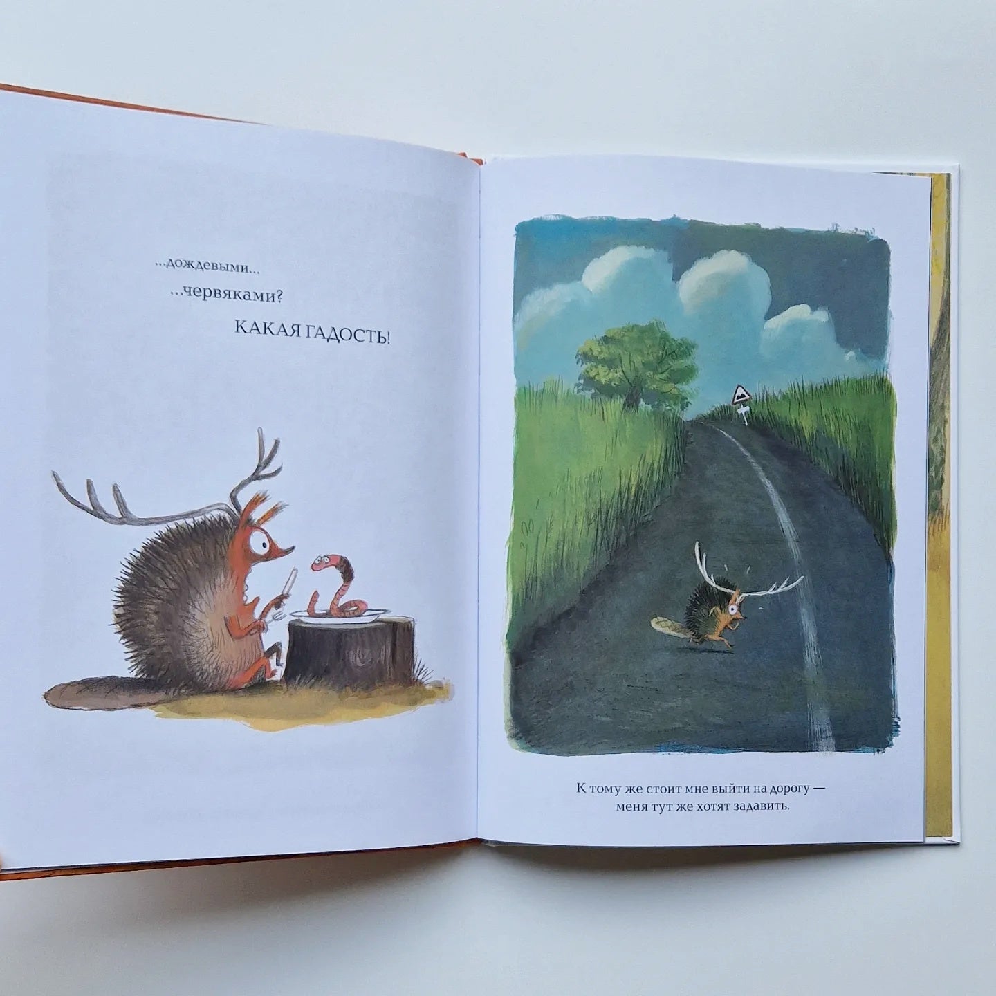 I don't want to be a squirrel