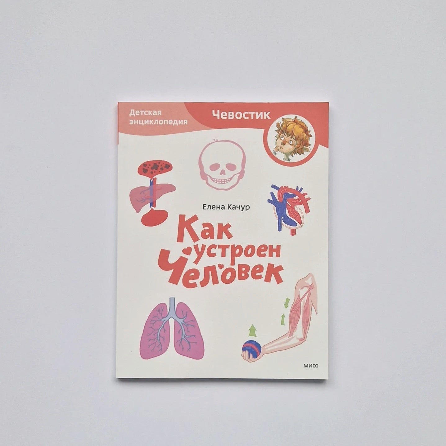 Как устроен человек. Детская энциклопедия (Чевостик)(мягкий переплёт)