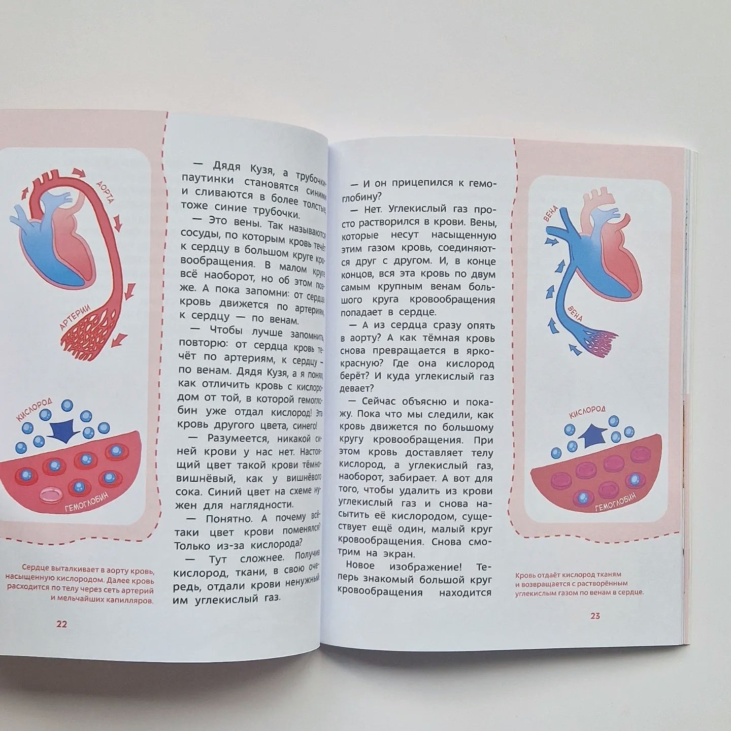 Как устроен человек. Детская энциклопедия (Чевостик)(мягкий переплёт)