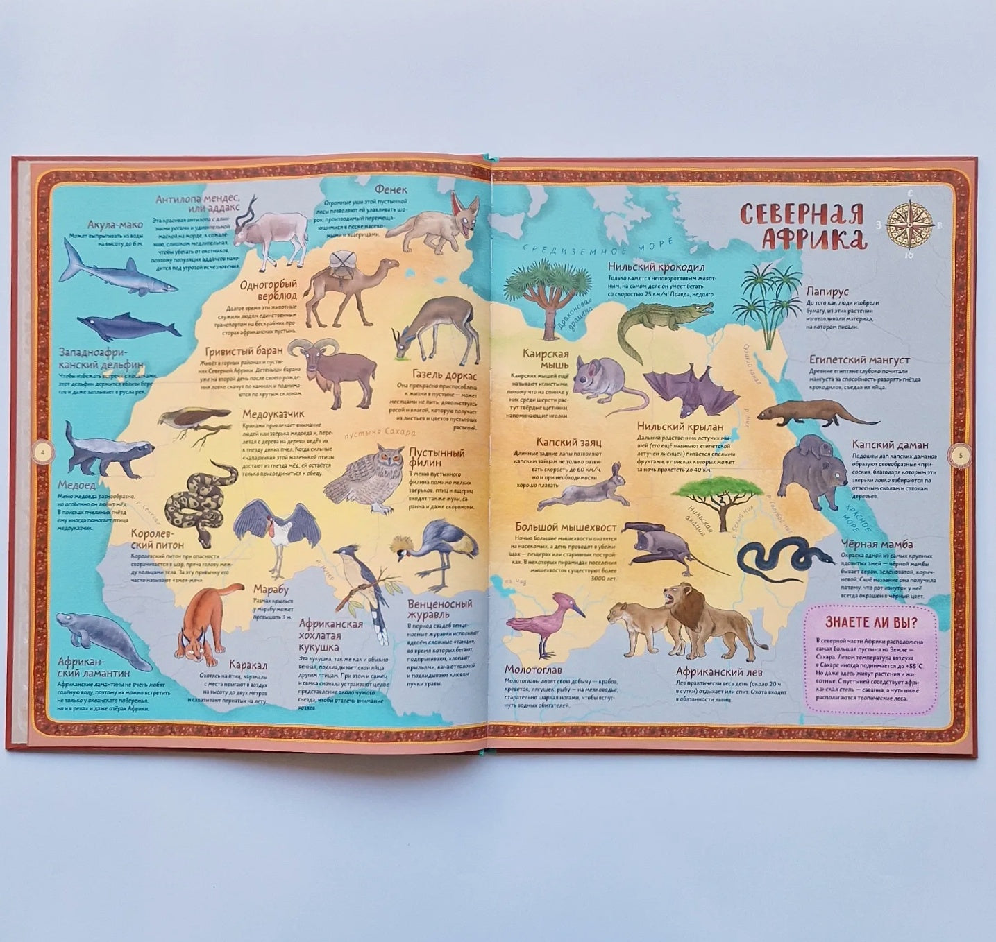 Атлас животных и растений мира